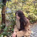 헤어다인 이미지