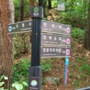 당두슈퍼 이미지