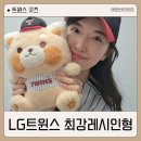 인형랜드 | 최강레시인형 LG트윈스 에버랜드 인형 구매처 실물 후기 언박싱