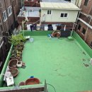 중앙동237 이미지