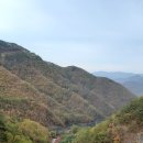 보발농장 이미지