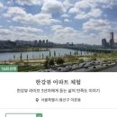 '한강뷰 아파트' 보여 주고 3만8000원…참신한 부업의 세계 이미지