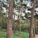 갈마경로당 이미지