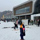 휘닉스파크 이미지