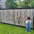 라모타 | [사천 맛집] 라모타바베큐 식당 내돈내산 이용 후기