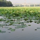 동방낚시터 이미지