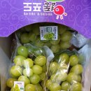 다온청과 네이버블로그