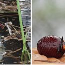 경관농장 이미지