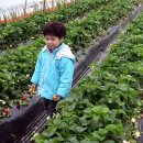 성혁농장 이미지