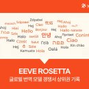 번역
