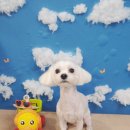 송내동3 이미지