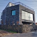 월령채