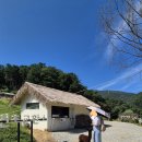 노림목장 이미지