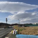 오가네 하우스 이미지