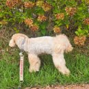 관청 근린공원 이미지