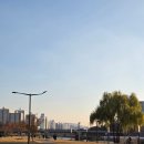 도안마을1단지 버스정류장 | 야탑 half 임장 (탑마을 3,6단지)