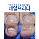 프리다네일