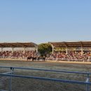 마상공연장 | [중국 무석 여행] 중국 무석 삼국수호성(三国水浒城) (2), 기마 공연 관람 후기