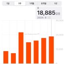 다섯째 날-혼자 타이난 골목 구석구석, 草包生煎 길만두, 우성 야시장 지파이, 총요삥, 스티커 찾아...