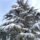 호텔그린토피아 이미지