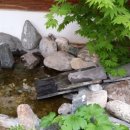 인사동전통찻집 이미지