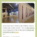 정경아메디요가 | [공지] 10년의 시간으로 증명된 요가원, 회원들의 이야기 3
