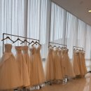 카페 드 레이나 | 청주 에스가든 다이렉트 웨딩박람회 | 메종드안·루시르·레이나 드레스 실물후기