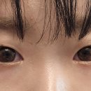 신용사 이미지
