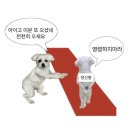 예원서점 | 나도 내 가치를 알지.. 근데 가끔은 세일할때도 있는거잖아..