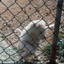 천대국치길 이미지