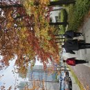 첫벙으로 다녀온 광교호수공원 후기 이미지