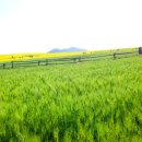 (주)푸른나라 이미지