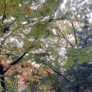 맵시나 명품세탁소 이미지