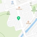 대전고양이분양 비비냥 이미지