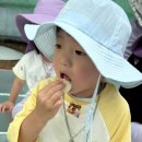 6.16 - 감자밭 이미지