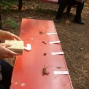 양서 초등학교 이미지