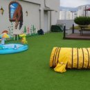 함개하자냥 이미지