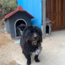 홍예민박 이미지