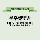 운주햇빛밤영농조합 | 세종시마을기업-운주햇빛밤영농조합