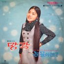 다이나마이트 사나이 / 화니씨스터즈 (1971) 이미지