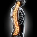 서울드림정형외과의원 이미지