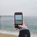 정동진놀자 | [강릉 여행 추천]_태시트/정동진역/정동진해수욕장/아르떼뮤지엄 강릉 후기