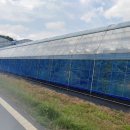 대조농장 이미지