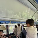 (주)친구사파리