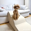 멀티펫 | 노견 강아지계단 추천 : 슬개골 부담 줄여준 퍼핑 논슬립 멀티펫스텝 후기