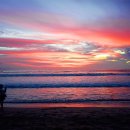 아름다움 이미지