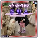 도구염소프라자 | 인천 아이랑 가볼만한곳 실내동물원 쥬벅스