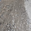 여주-0891 이미지