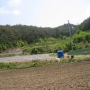 상운초등학교 이미지