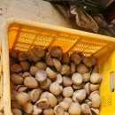 대건농장 이미지